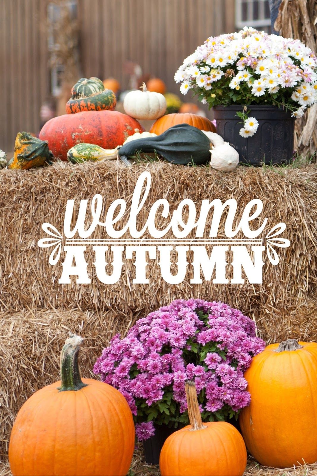 1066x1600 Happy Fall Y'all dot Co