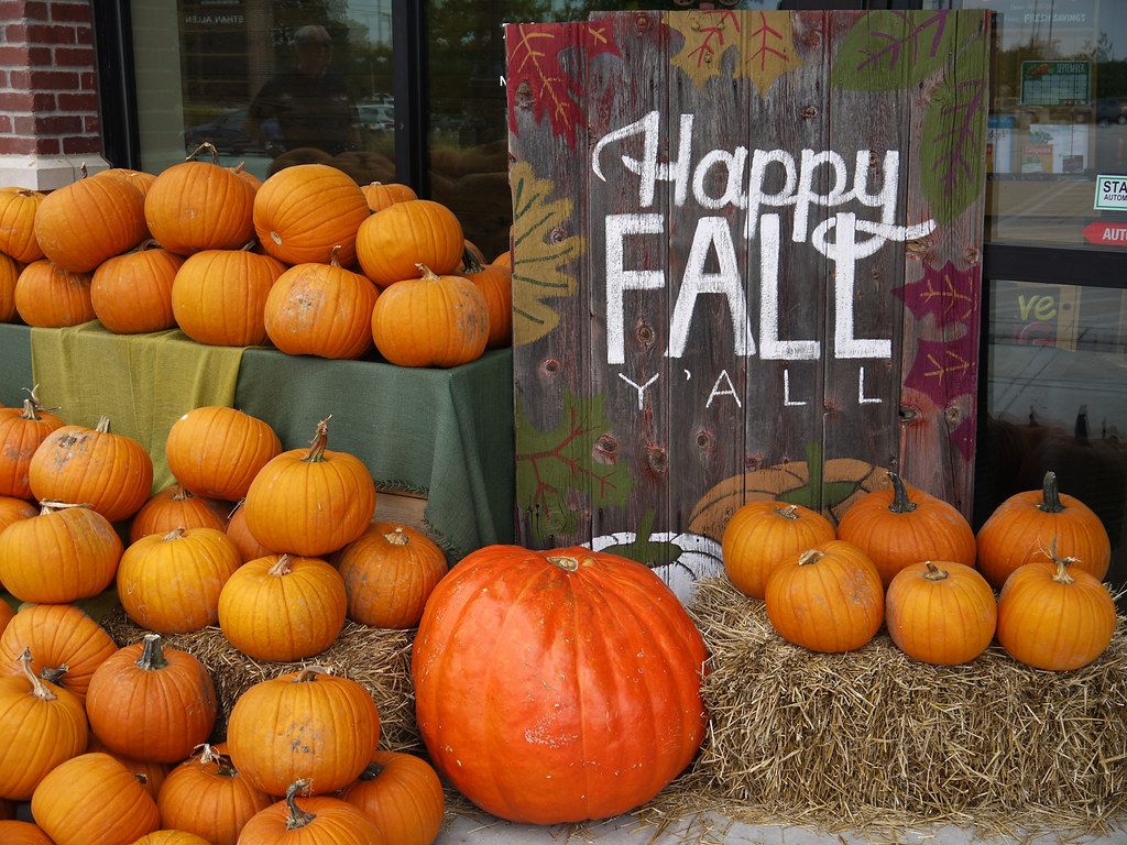 1024x768 Happy Fall Y'All. Wichita, Kansas
