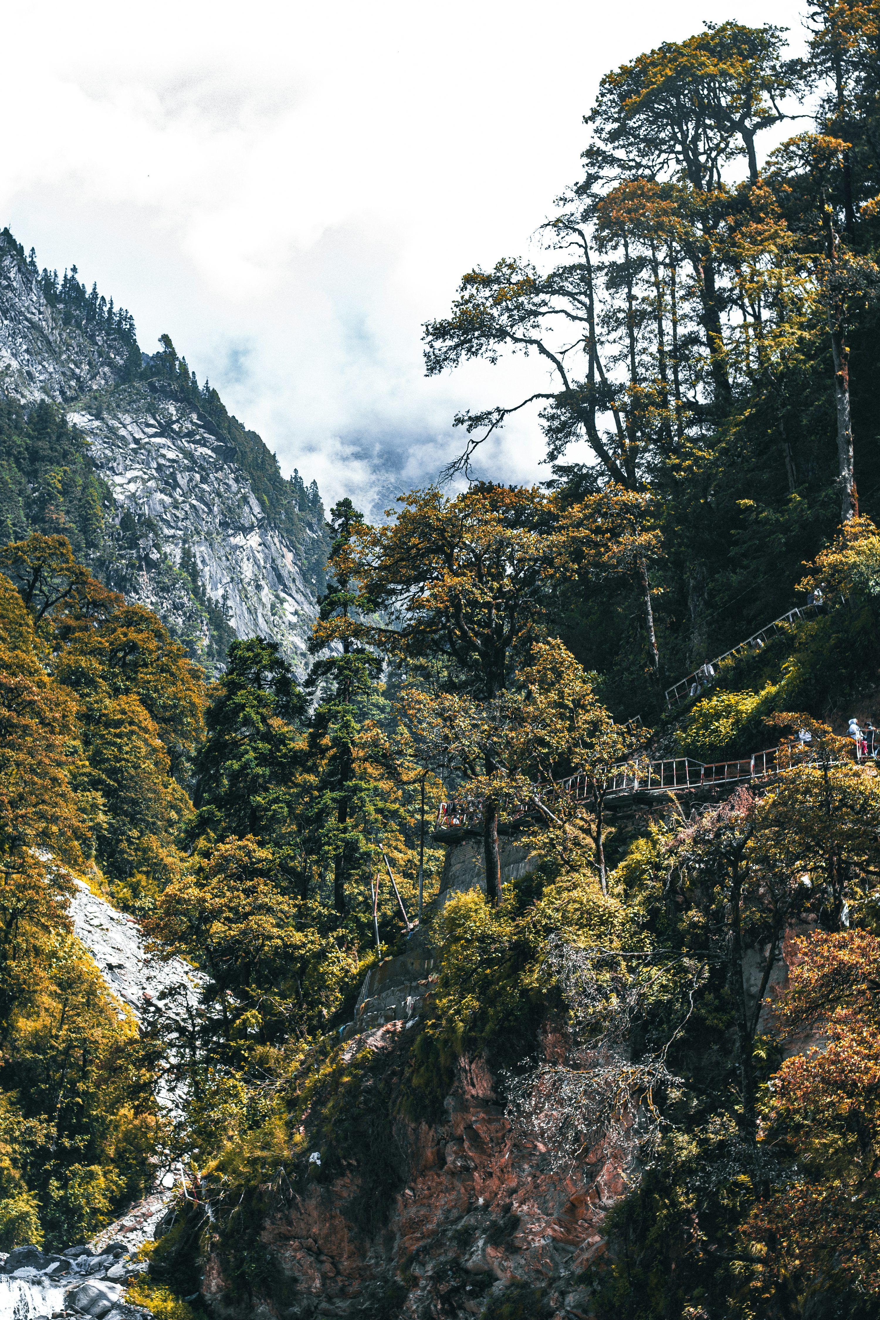 3000x4500 Pahadi Picture. Download Free Image
