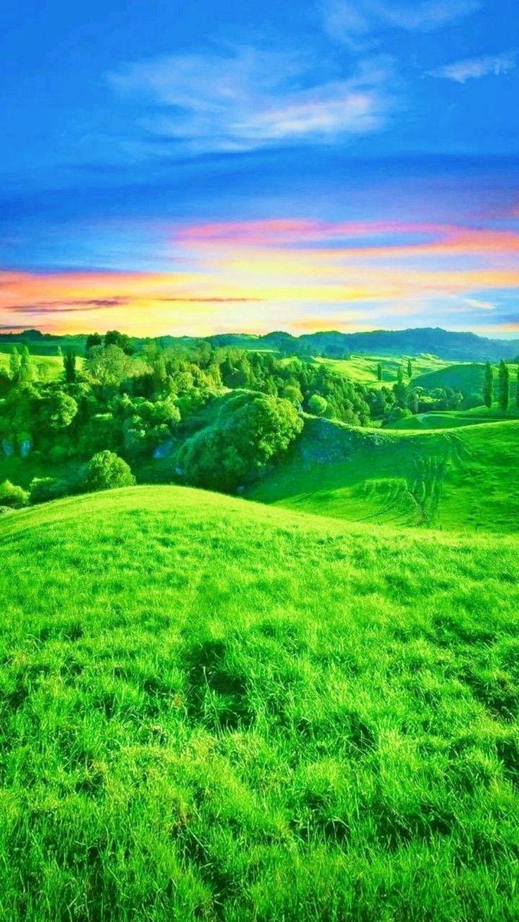 736x1308 Pahadi bwgarawond