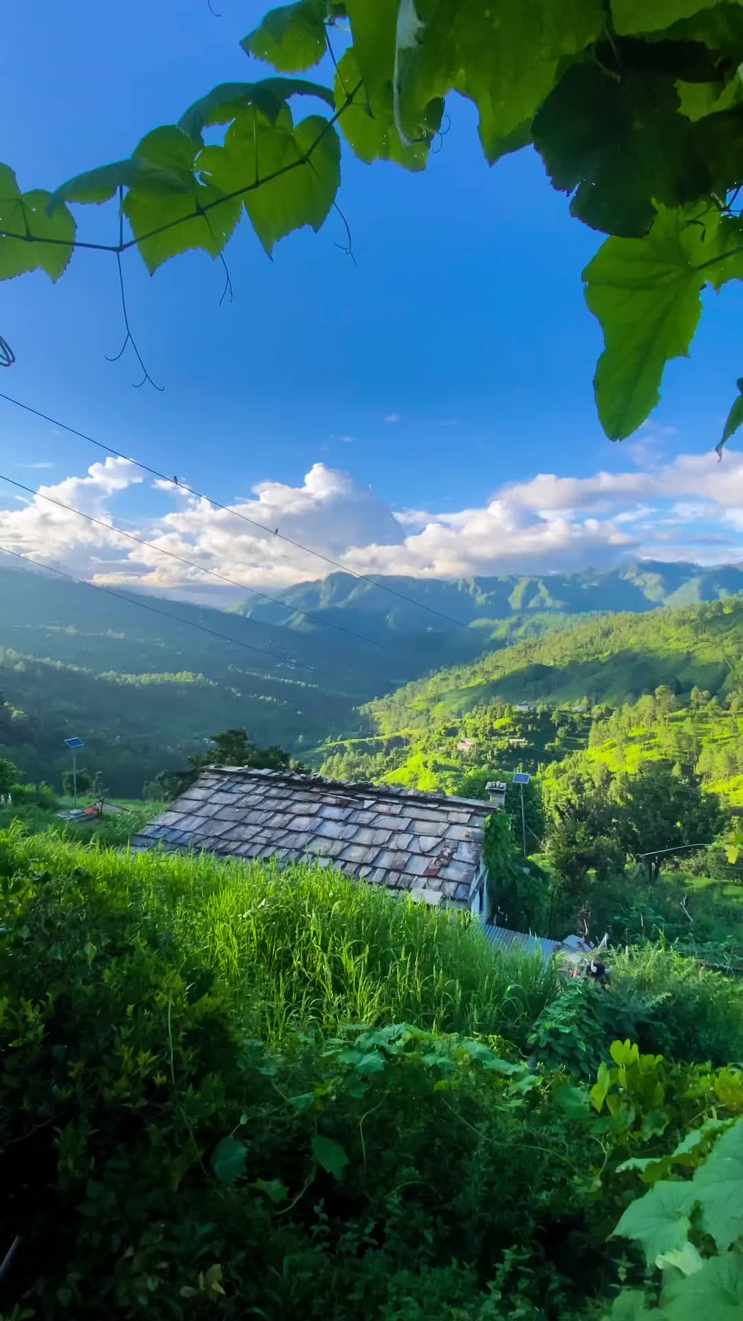 1080x1920 Pahadi Video
