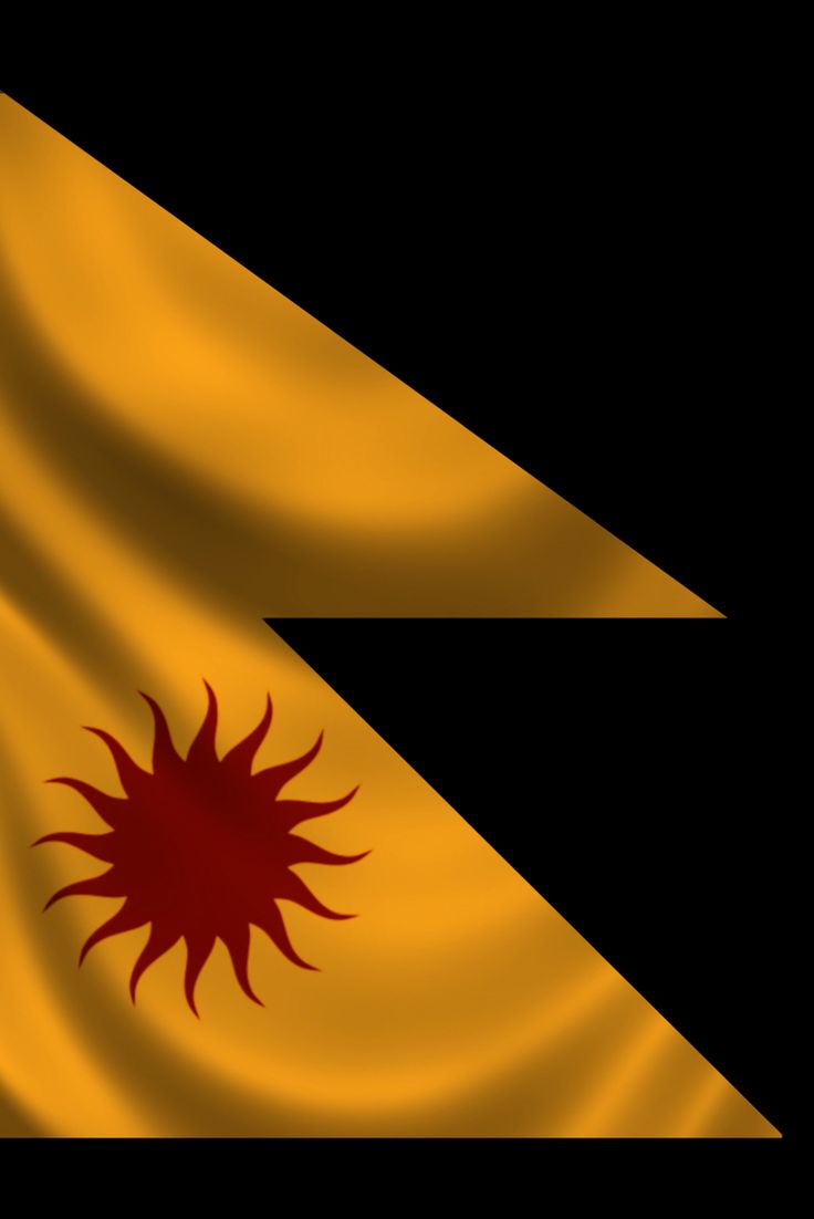 736x1102 Hindu Rashtra Flag idea