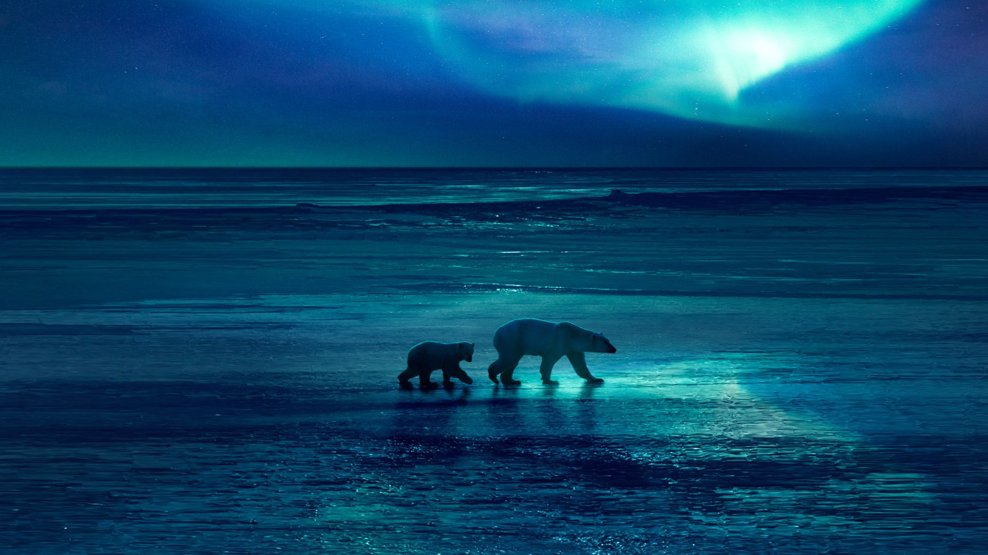 1920x1080 Prime Video: Frozen Planet II