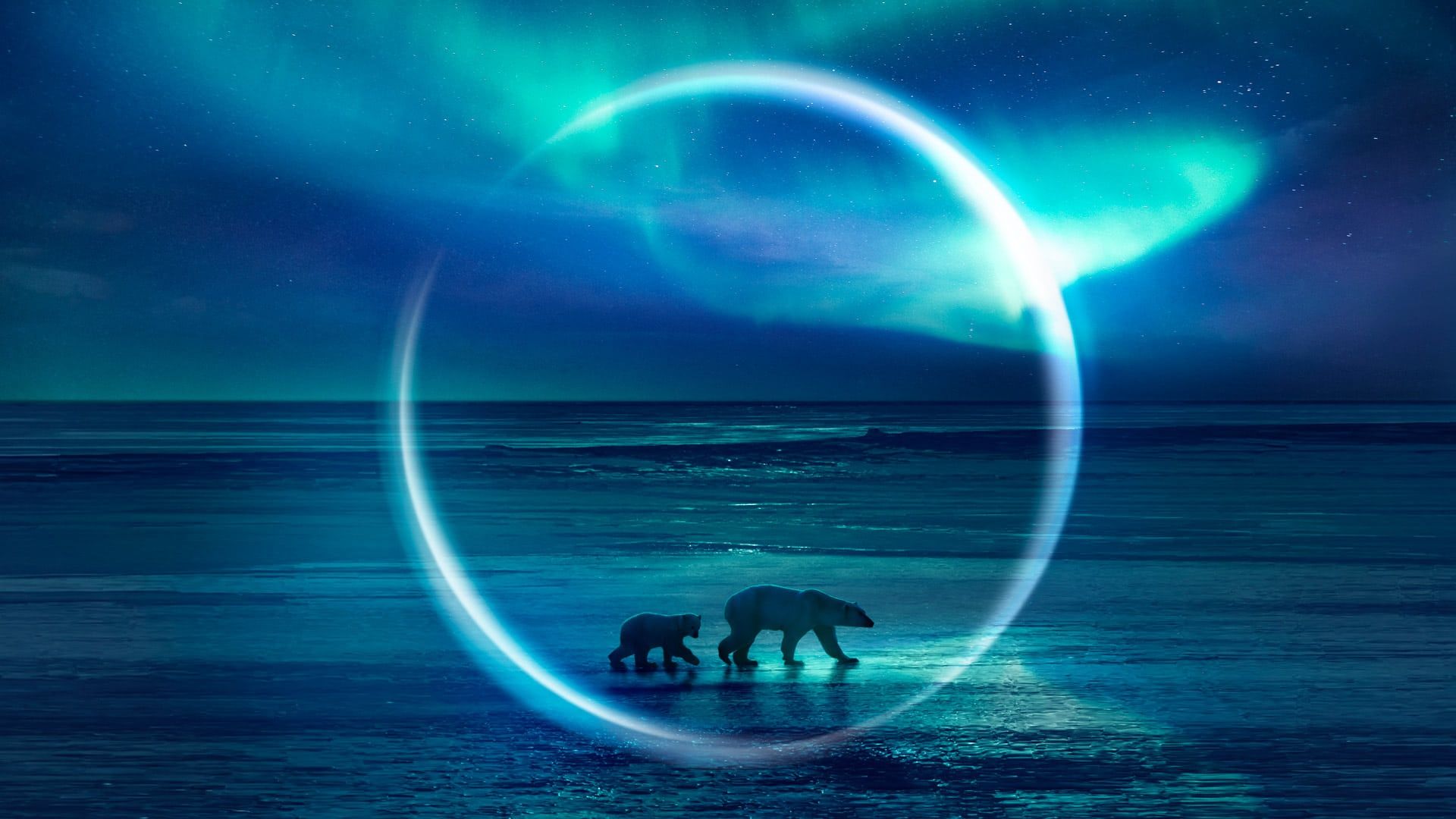 1920x1080 Frozen Planet II. Where to watch streaming and online in Australia