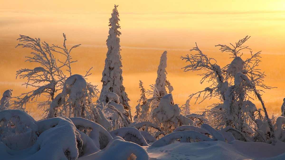 1200x675 BBC One Planet, To the Ends of the Earth