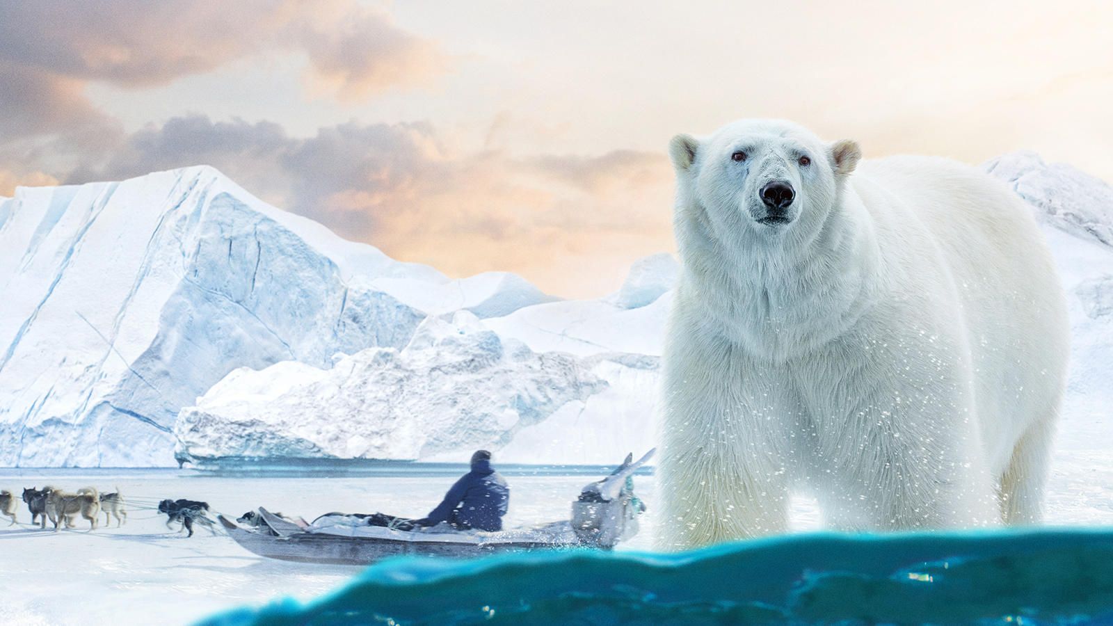 1600x900 Arctic: Our Frozen Planet