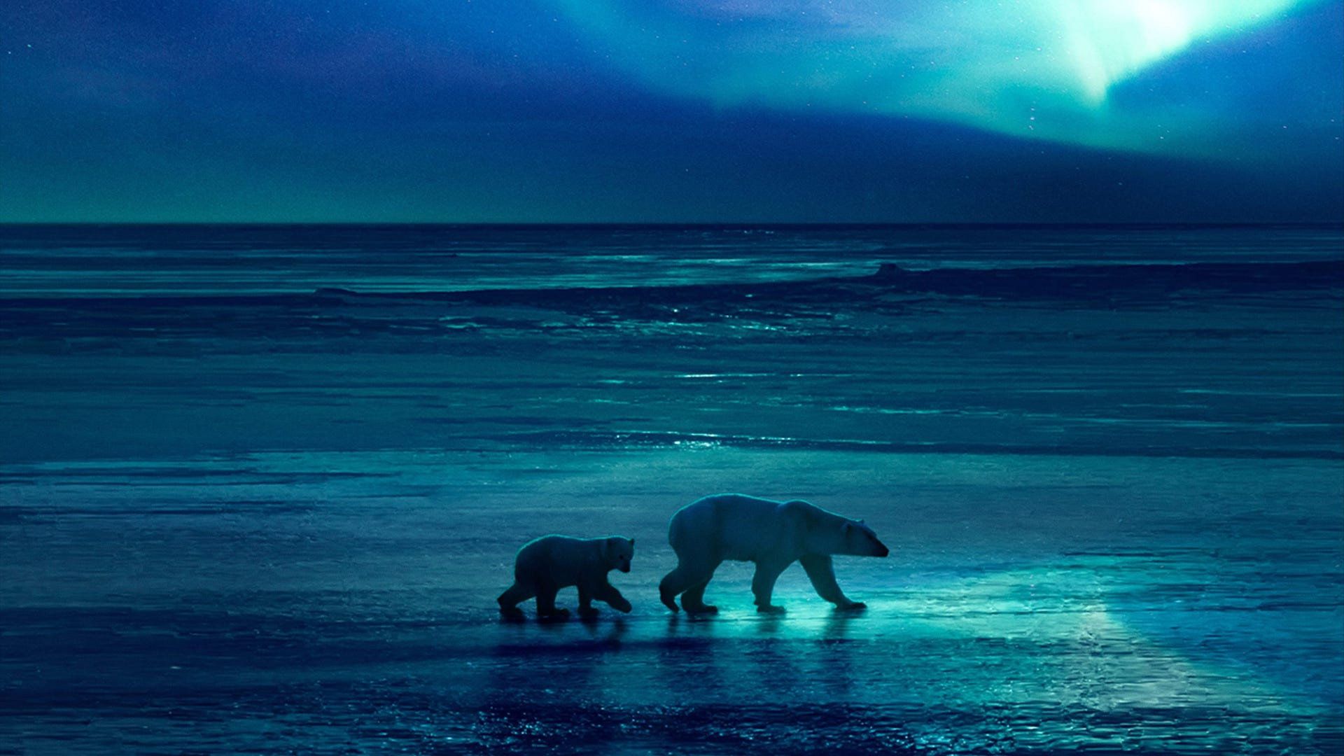 1920x1080 Frozen Planet II (TV Series 2022)