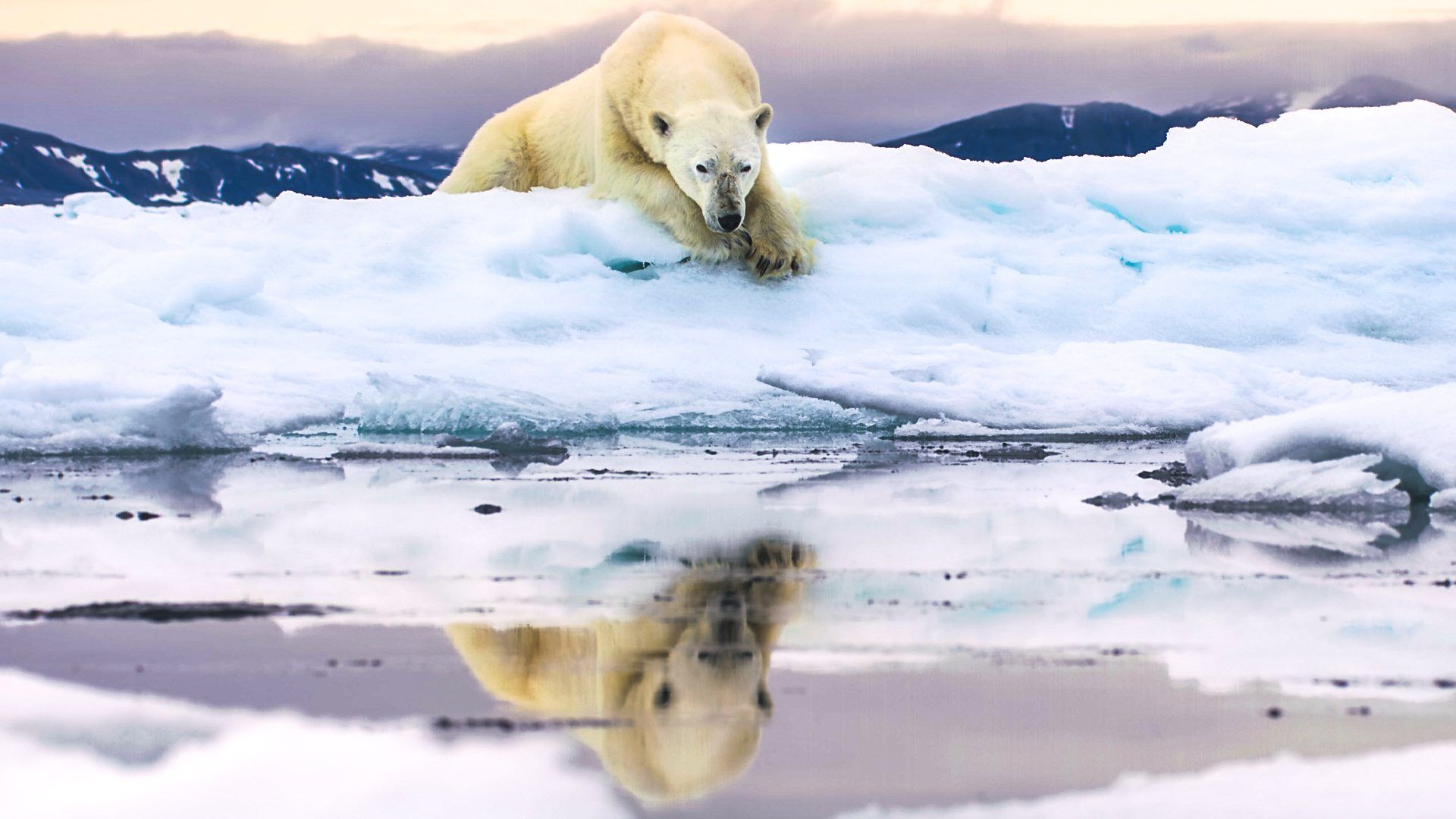 1920x1080 How to watch Frozen Planet 2: stream online from anywhere in the world