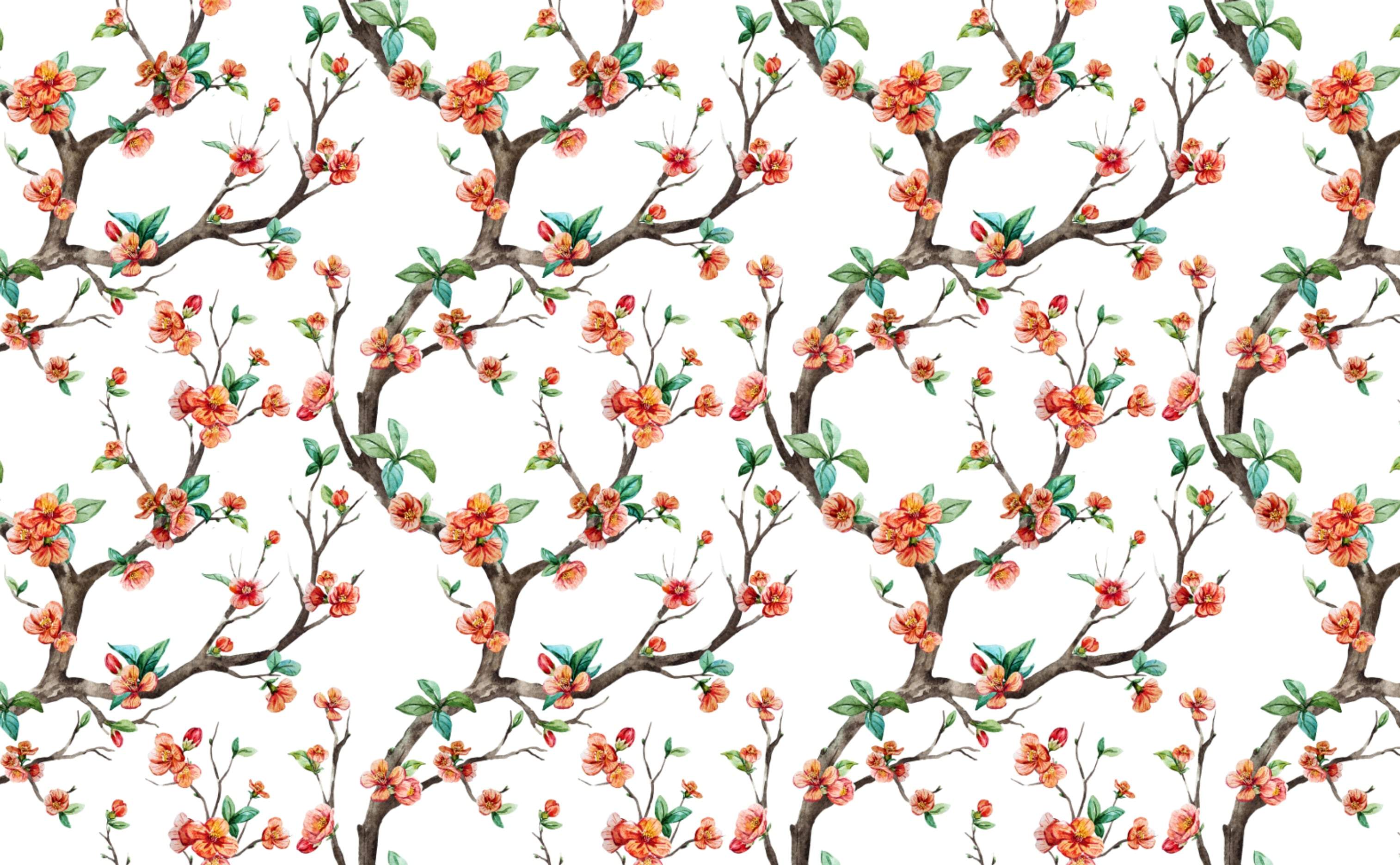 3028x1872 Cheery Cherry Blossom Wallpaper for Walls
