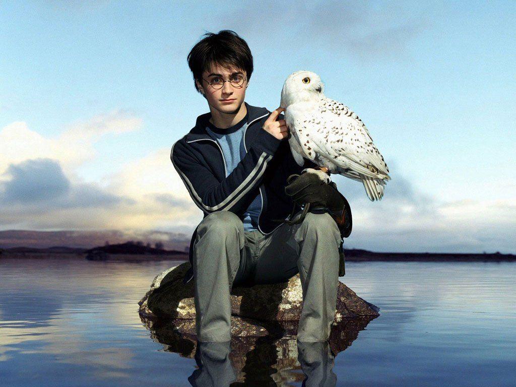 1024x768 Free download ALL ABOUT HOLLYWOOD STARS Daniel Radcliffe HD Wallpaper 2013 [1024x768] for your Desktop, Mobile & Tablet. Explore Daniel Radcliffe Wallpaper. Daniel Radcliffe Wallpaper, Daniel Radcliffe Wallpaper, Daniel Radcliffe 2020 Wallpaper