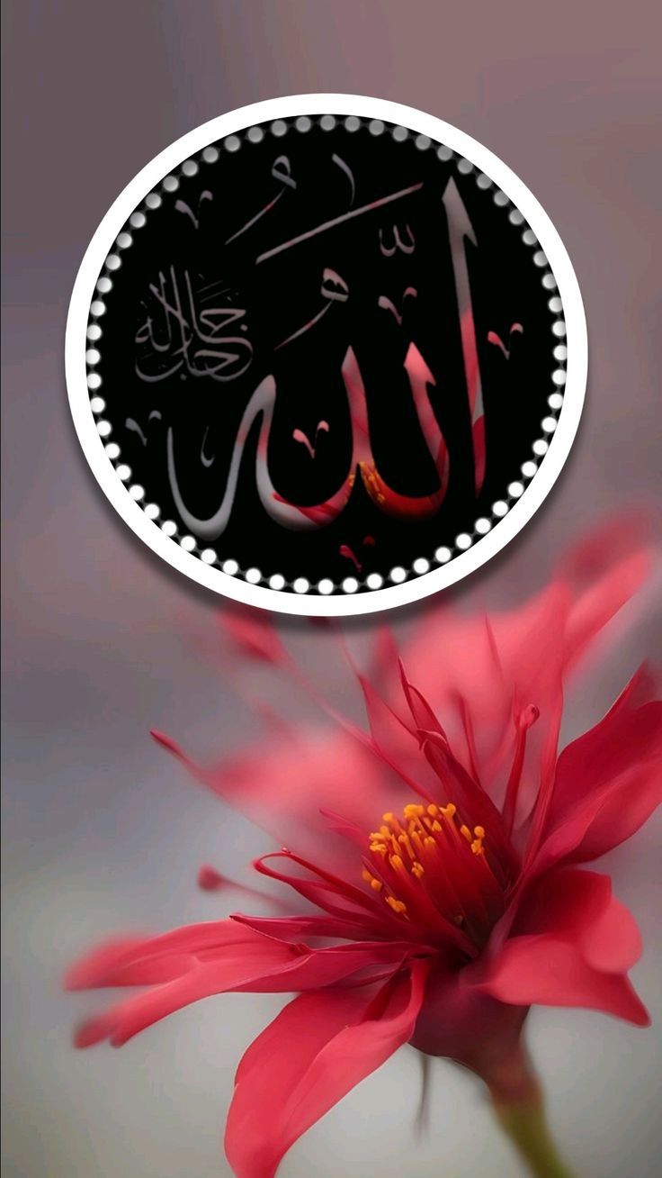 736x1308 Allah is my only hope wallpaper. Allah picture, Allah muhammad wallpaper, Ya allah ya