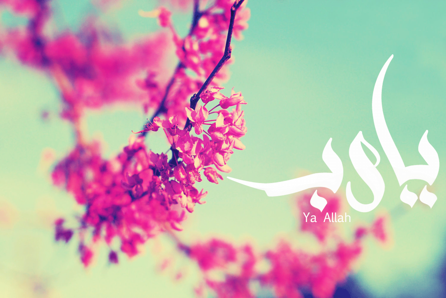 1500x1004 Ya Allah (2). Image - Behance