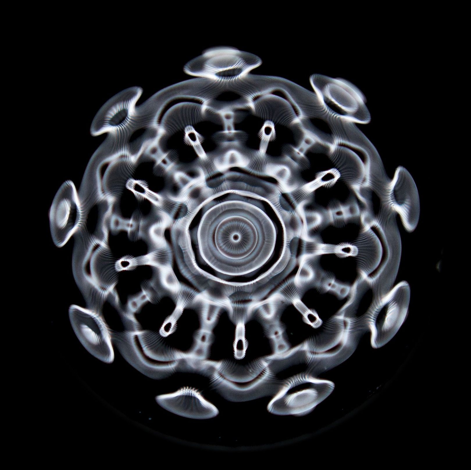 1620x1618 Cymatics