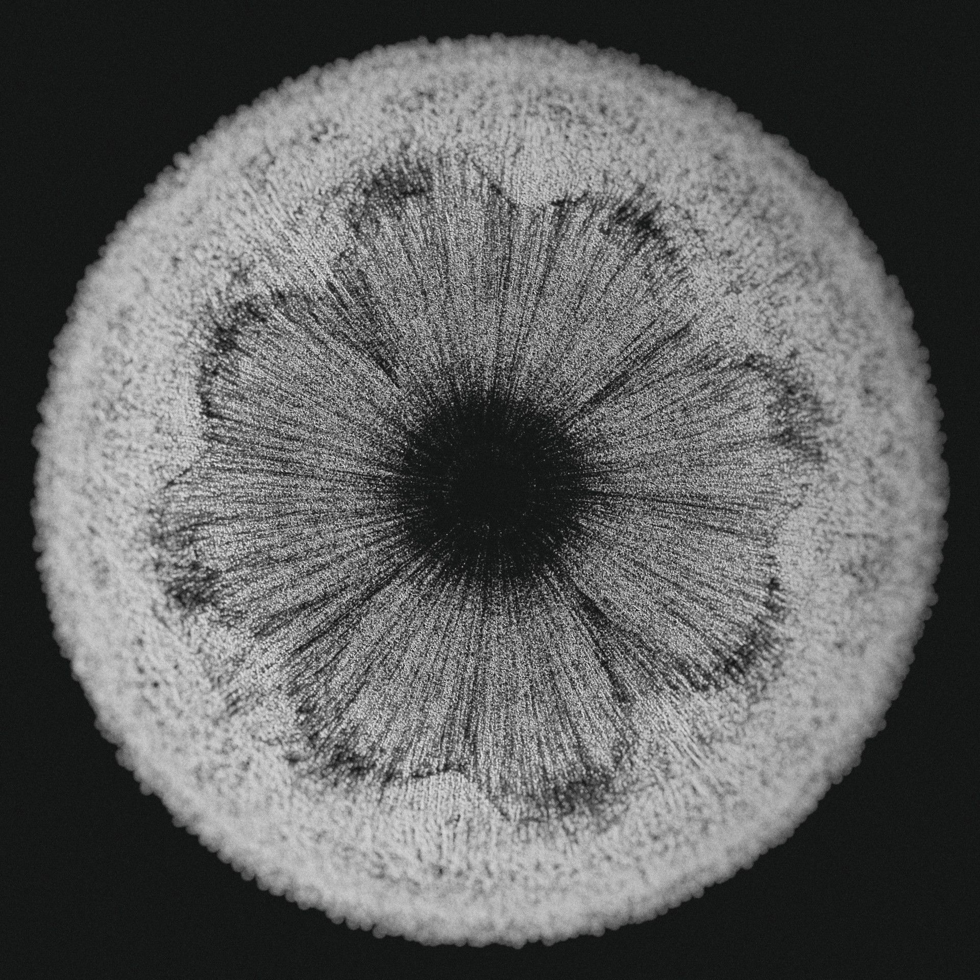 1920x1920 Cymatics