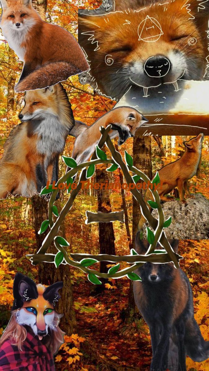 675x1200 Red fox therian wallpaper the image were not made