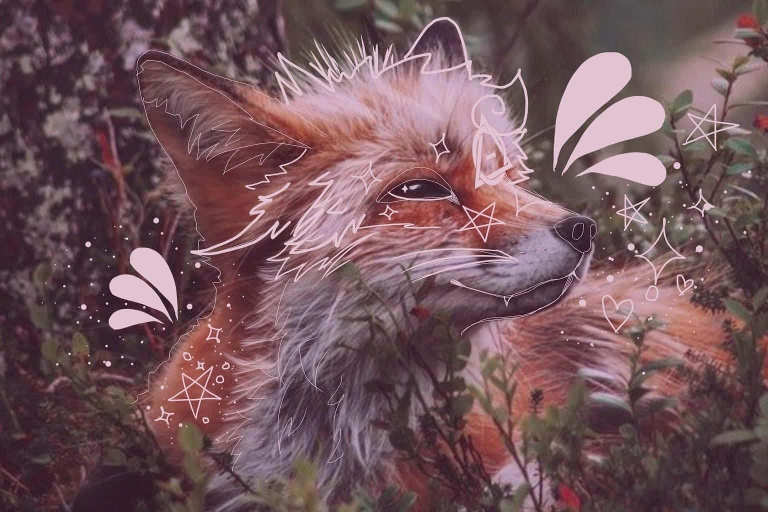 1536x1024 Therian Fox Wallpaper