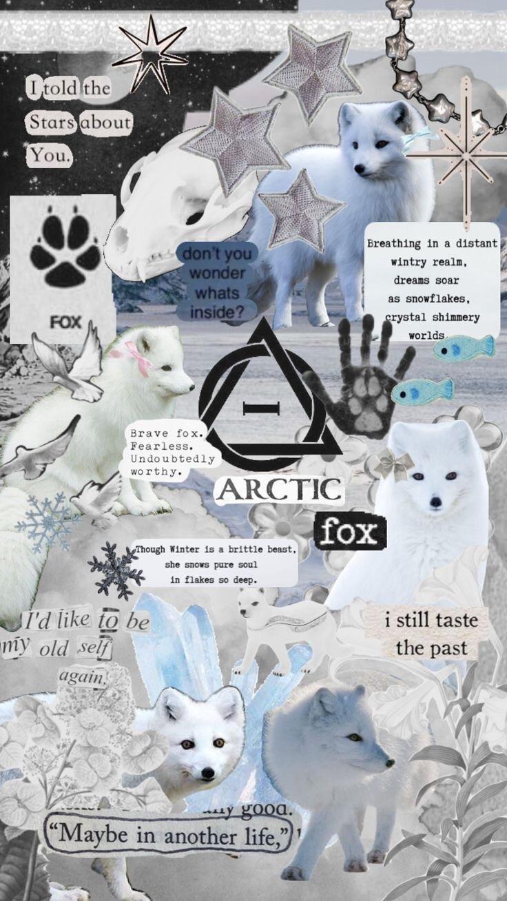 736x1308 Arctic fox wallpaper