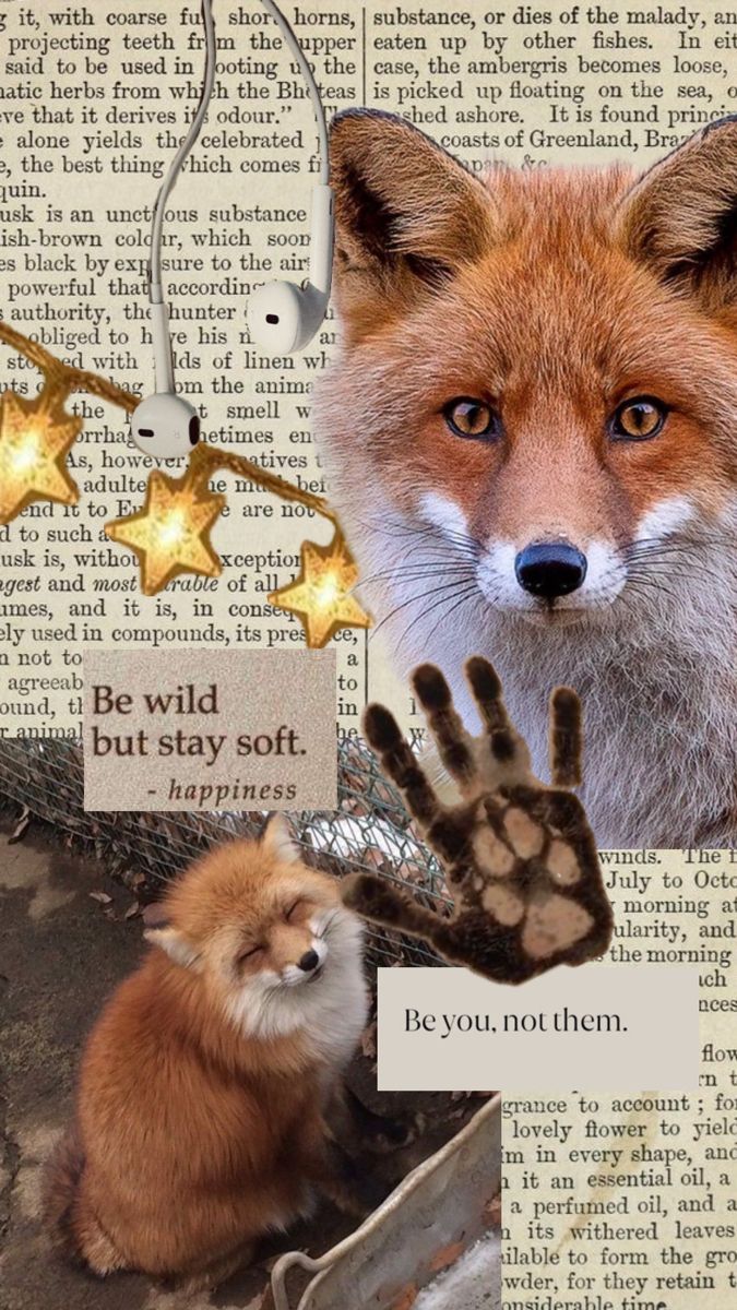 675x1200 fox #therian #wallpaper