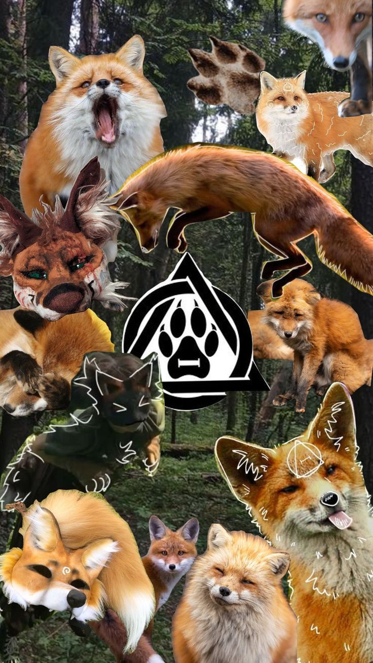 736x1308 red fox therian wallpaper