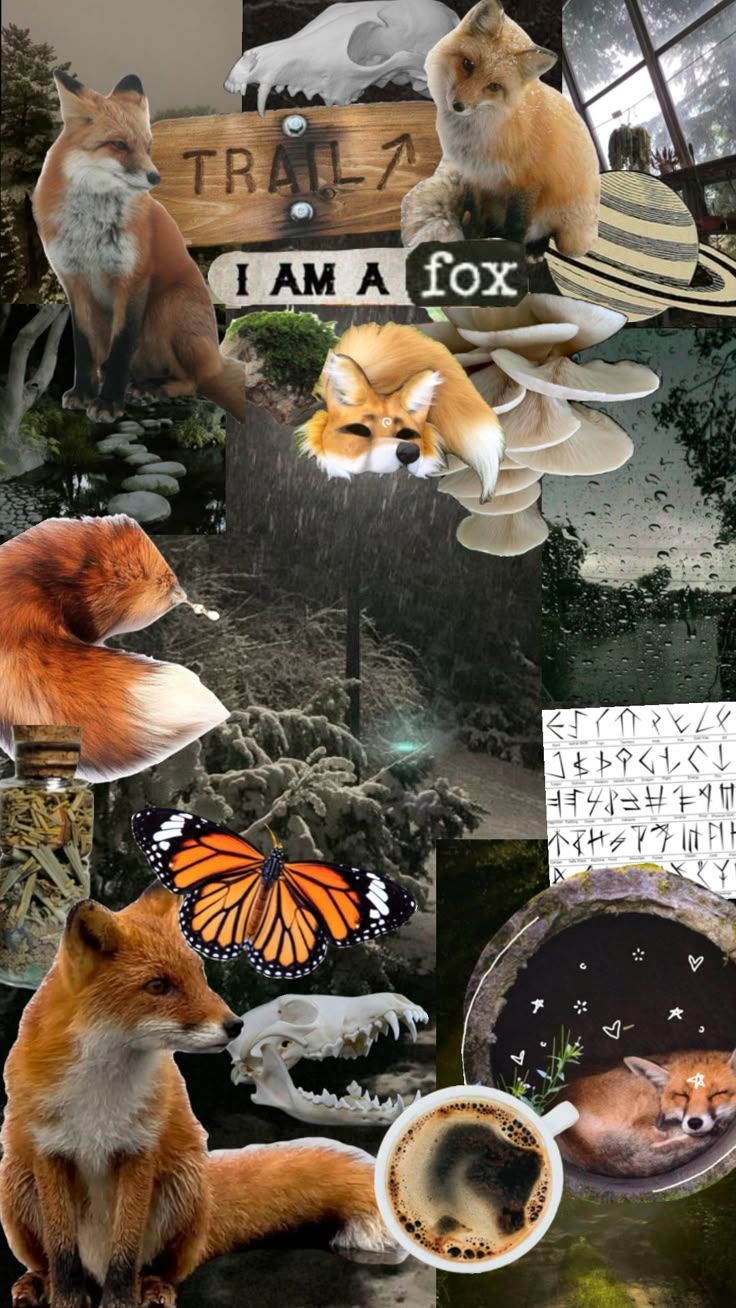 736x1308 Red fox therian wallpaper