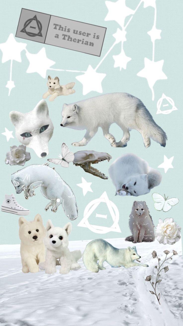 736x1308 Arctic fox wallpaper