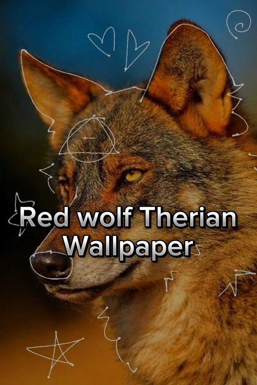 854x1280 Red wolf wallpaper