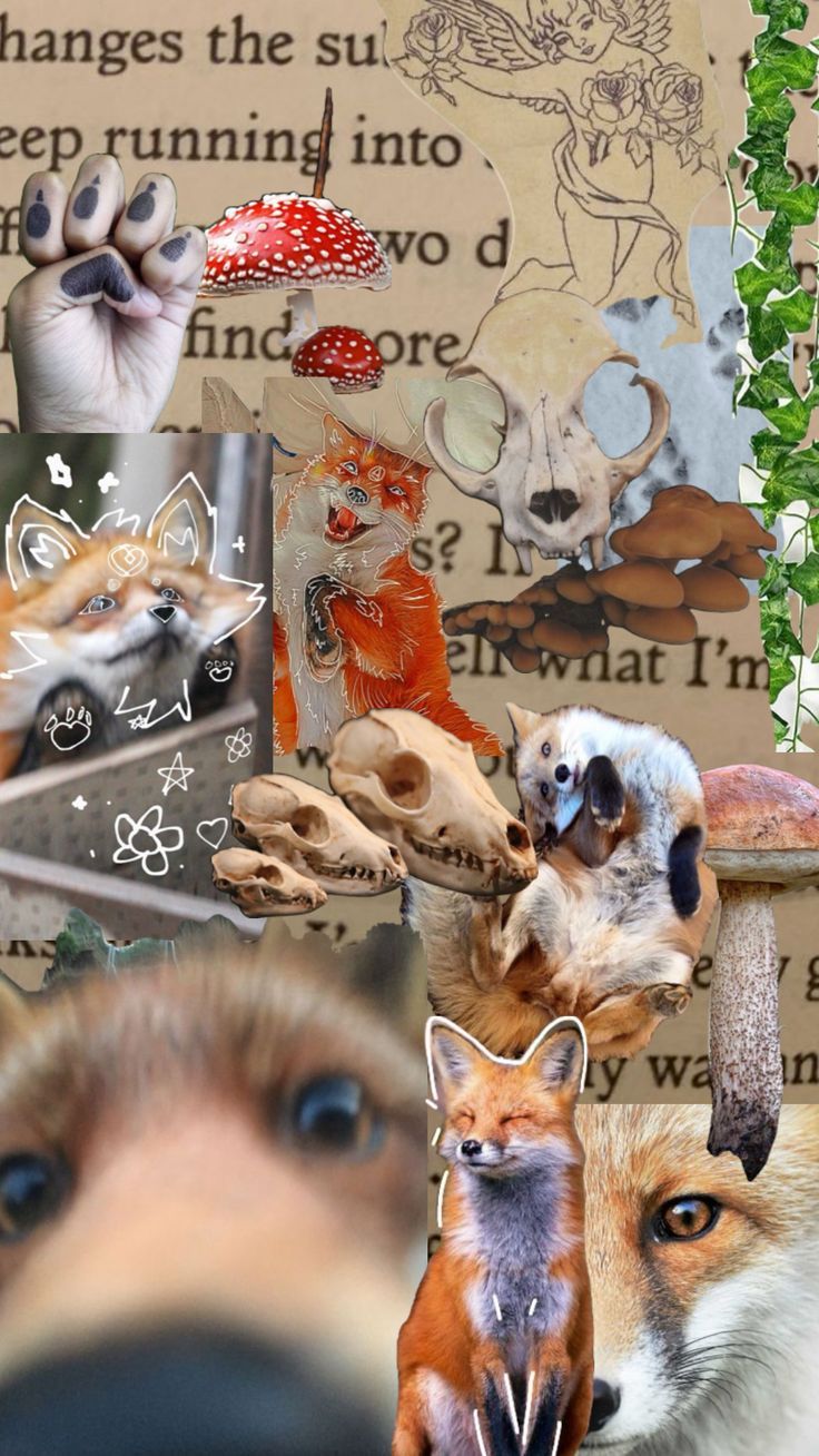 736x1308 Fox Therian wallpaper!! Feel free to use <3 #foxtherian #therianthropy
