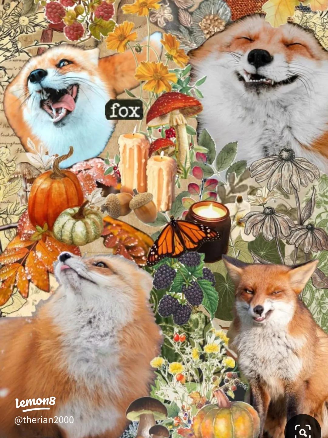 1080x1440 Therian Red Fox Wallpaper