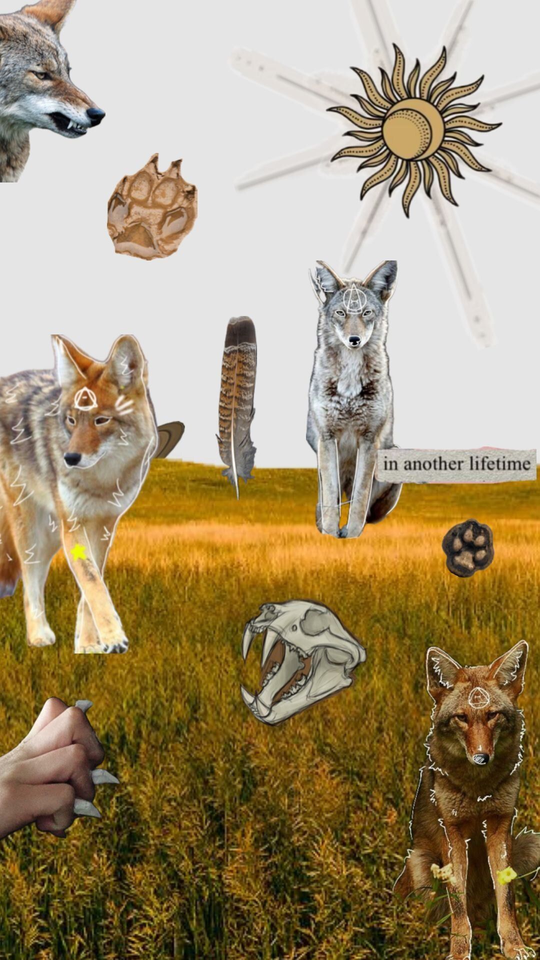 1080x1920 Therian Coyote Coyote Pin Coyote Therian Wallpaper