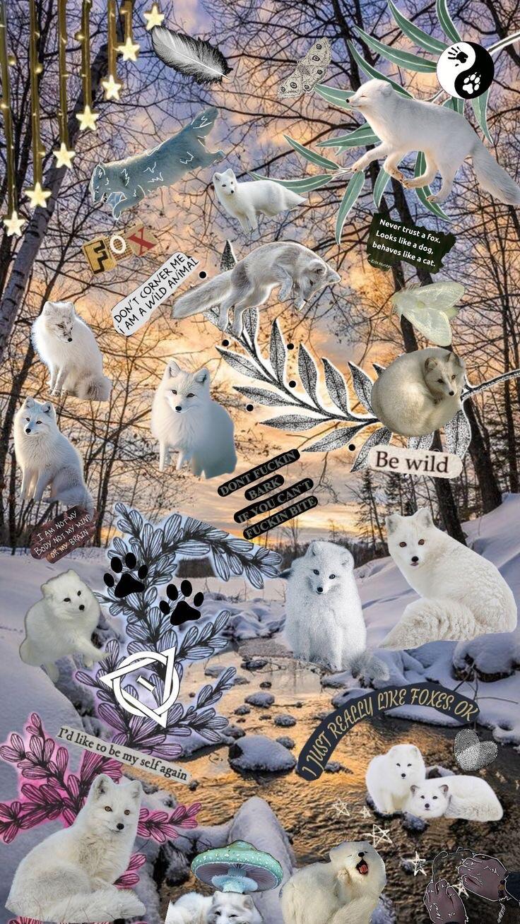 736x1308 Arctic fox wallpaper