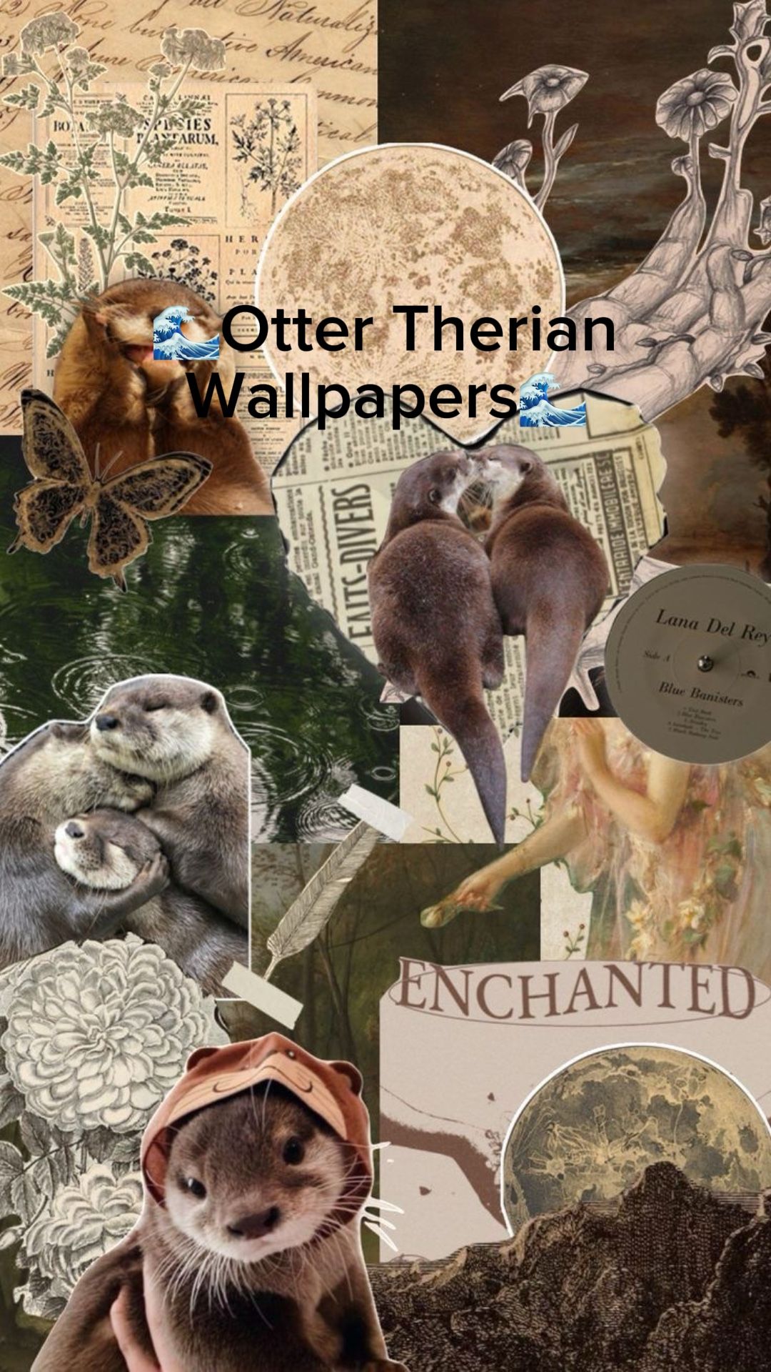 1080x1920 Otter Therian Wall