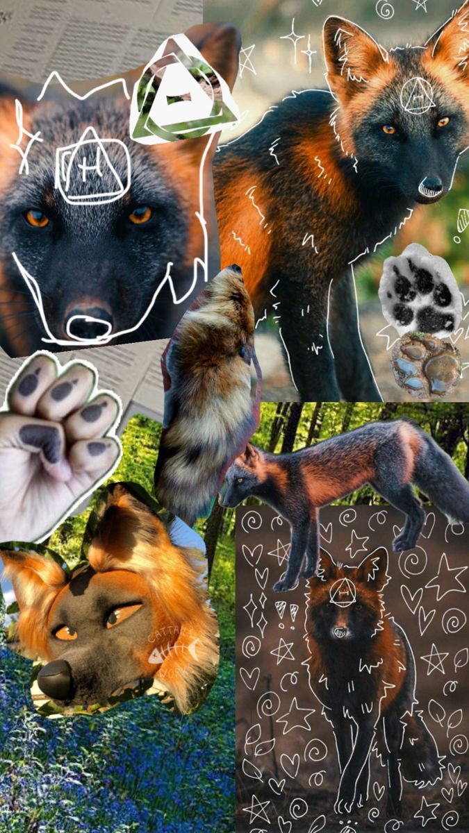 675x1200 Idee For Therian Wallpaper: Cross Fox Edition By Foam.therian