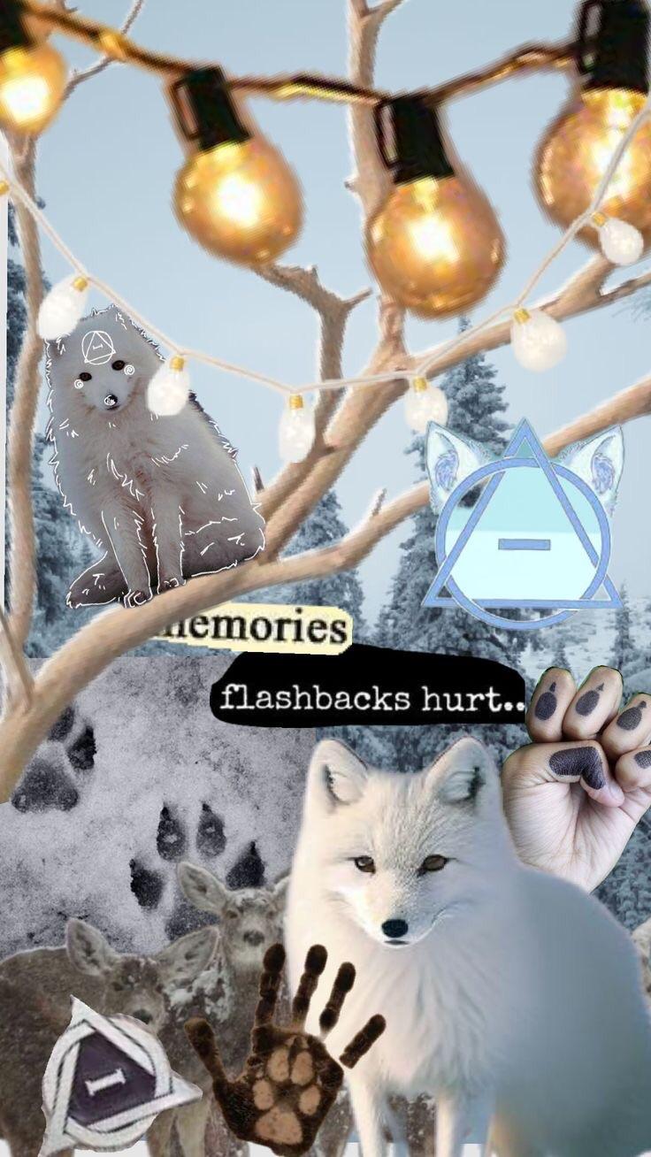 736x1308 Arctic fox wallpaper