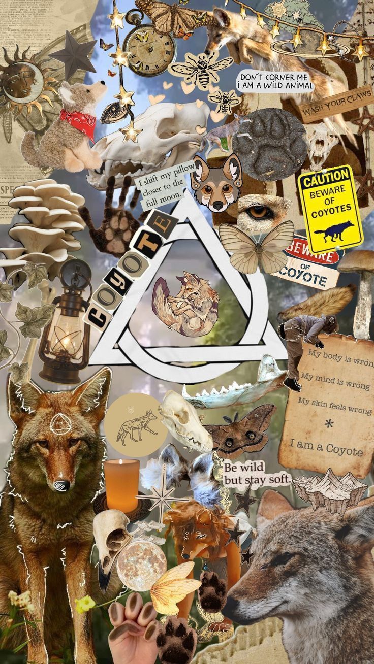 736x1308 Therian Collage Wallpaper