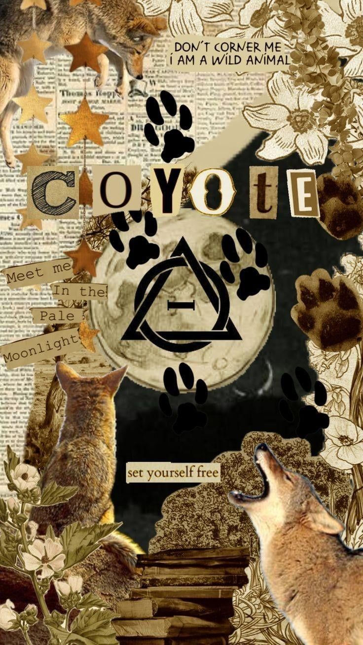 736x1308 Coyte therian wallpaper<3