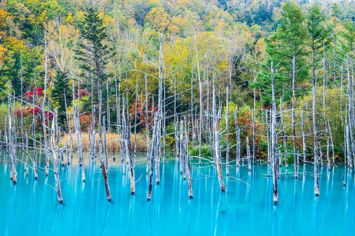 1200x800 Blue pond Biei, Hokkaido, A Mac wallpaper｜ZEKKEI Japan