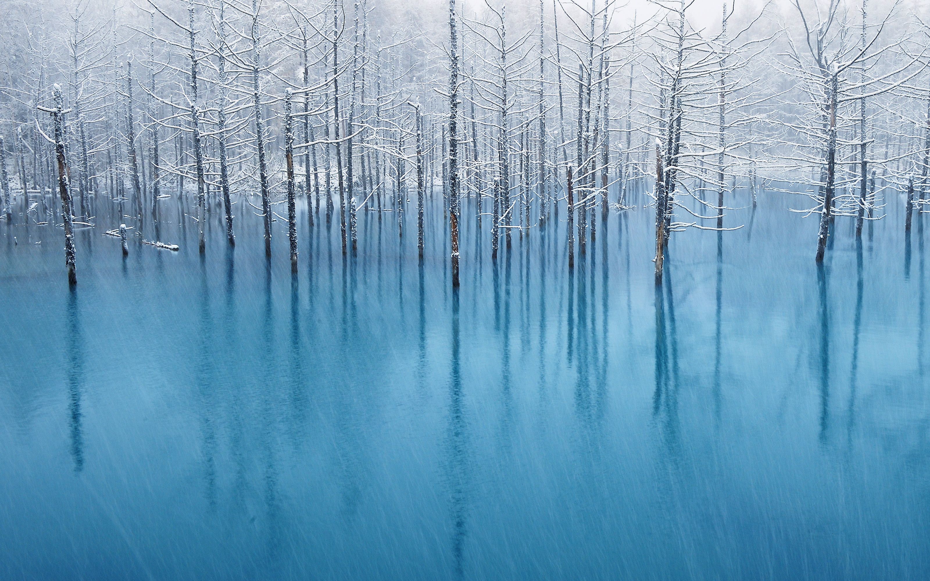 3200x2000 Blue Pond