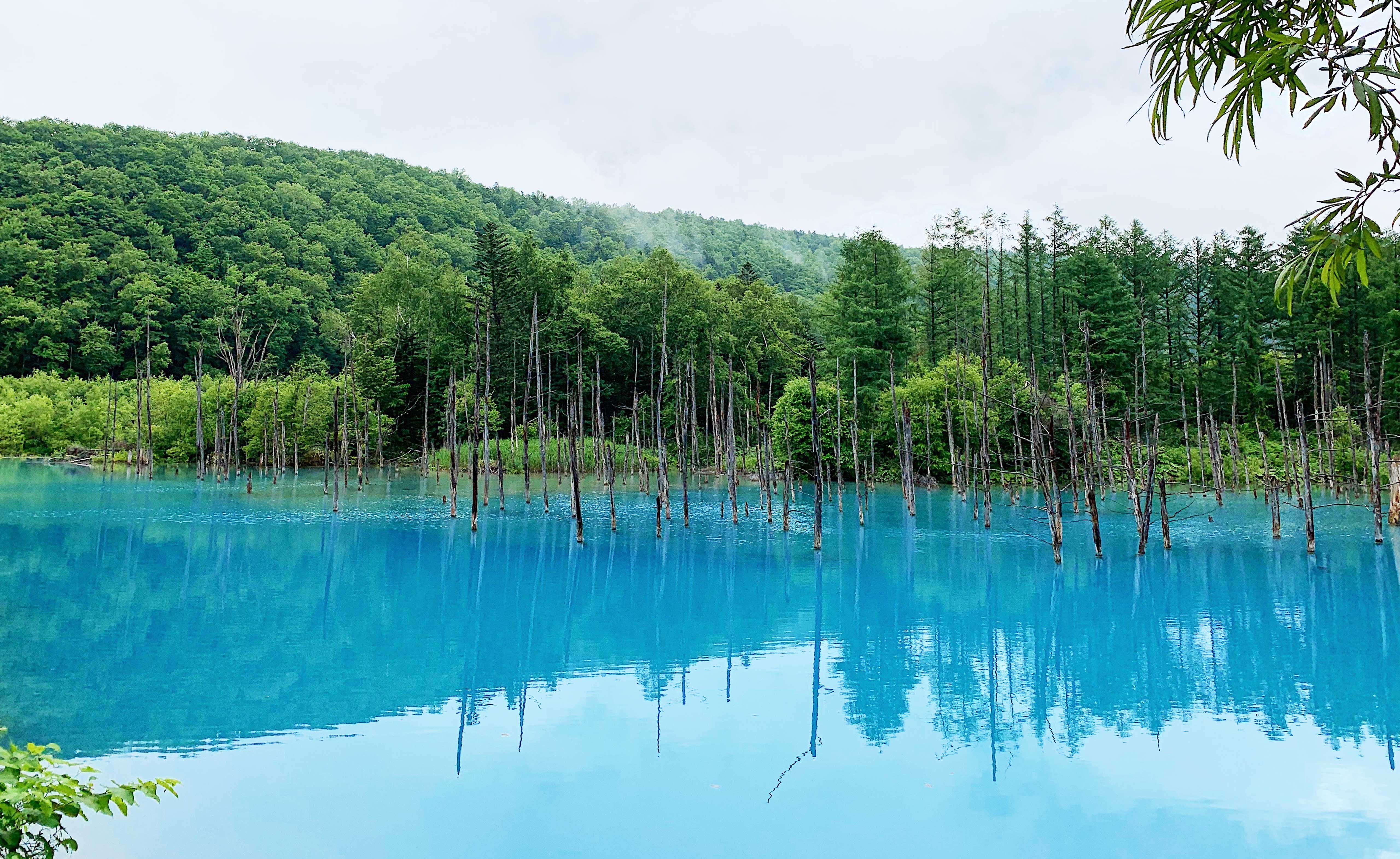5120x3144 Aoi Ike Pond: Hokkaido's Unintentionally Human Made Blue Pond