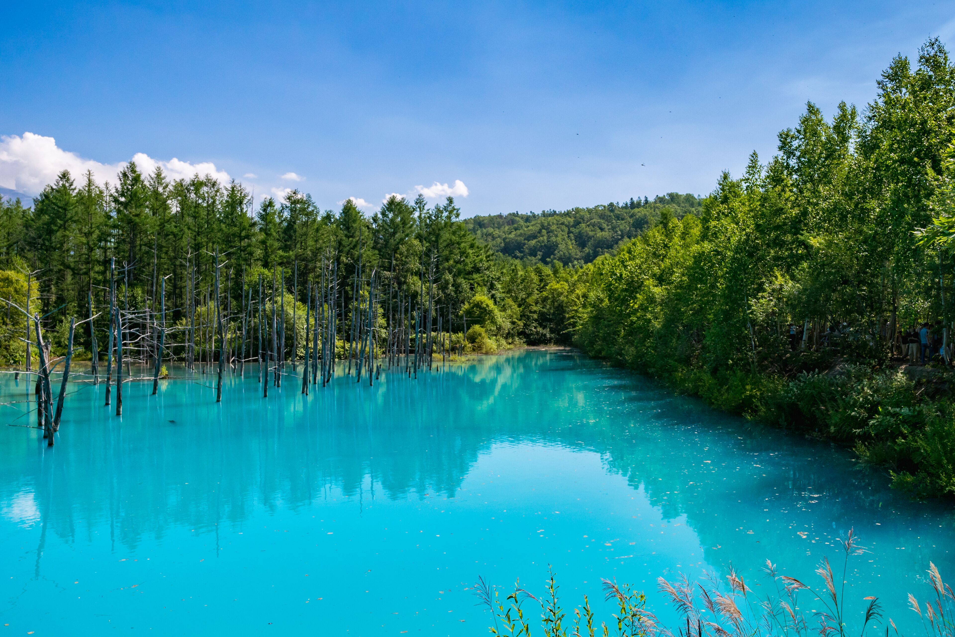 3840x2562 Blue Pond ｜Expedia.co.jp