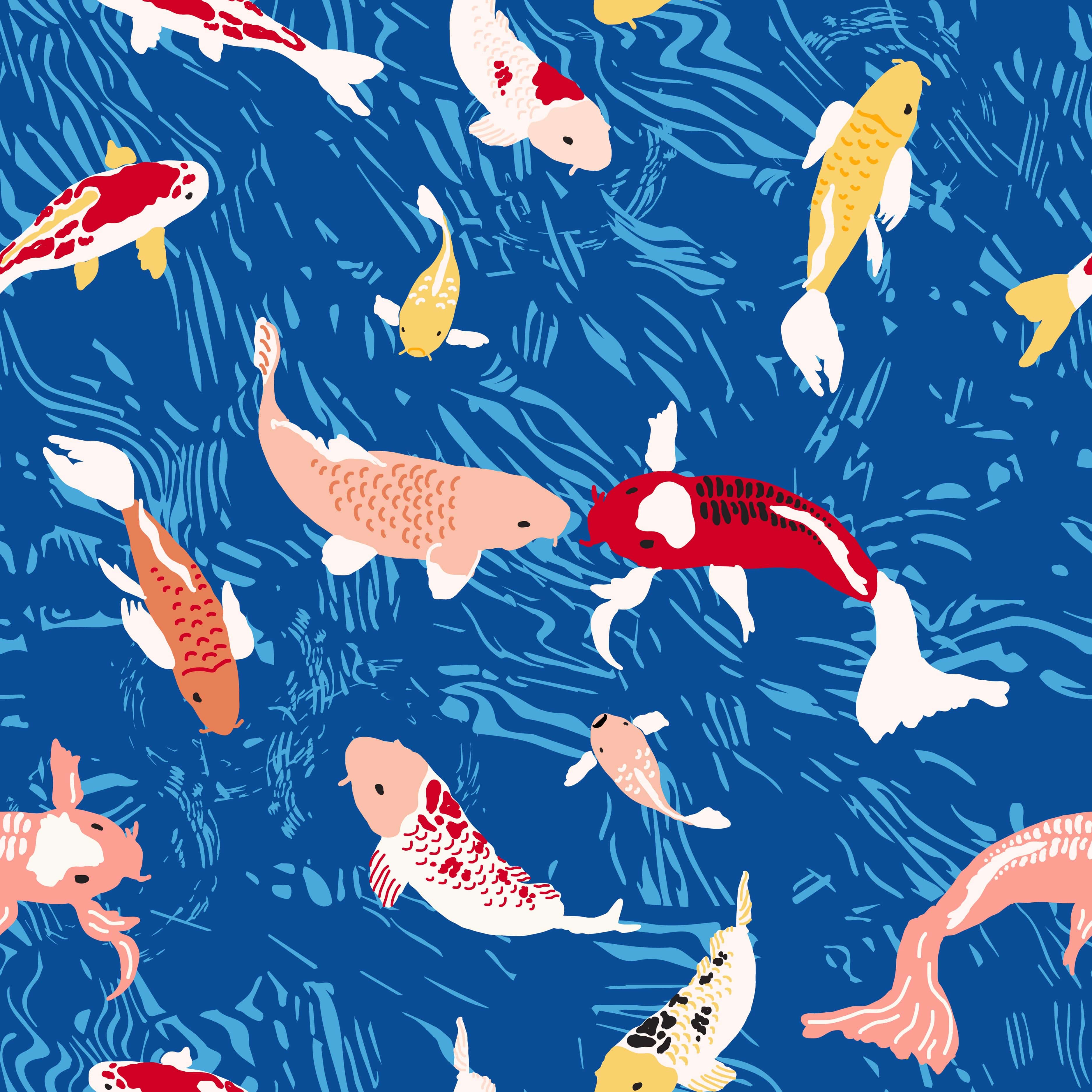 3750x3750 Koi Pond in Blue Water Removable Wallpaper