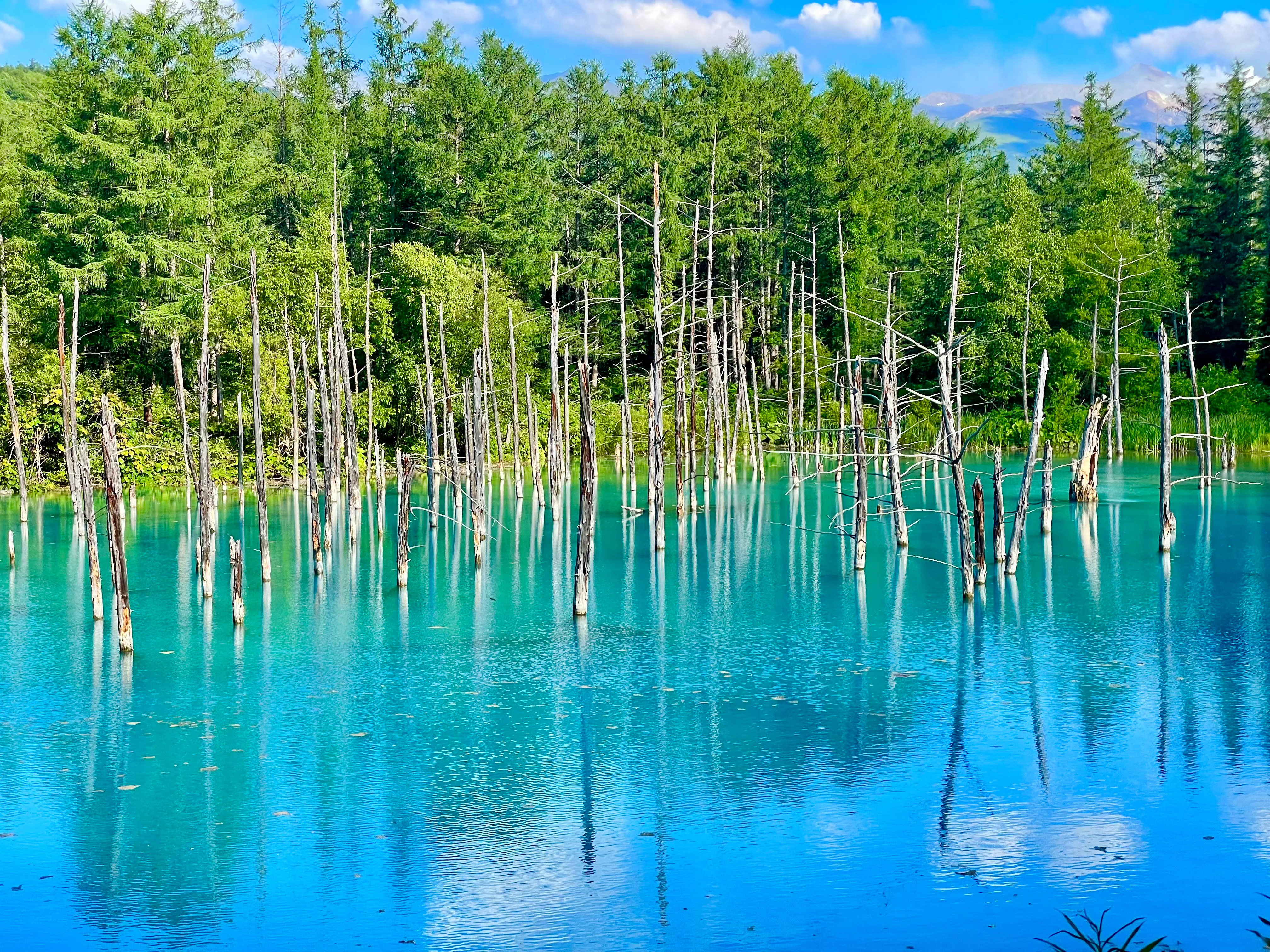 4032x3024 Shirogane Blue Pond Revisited 2023