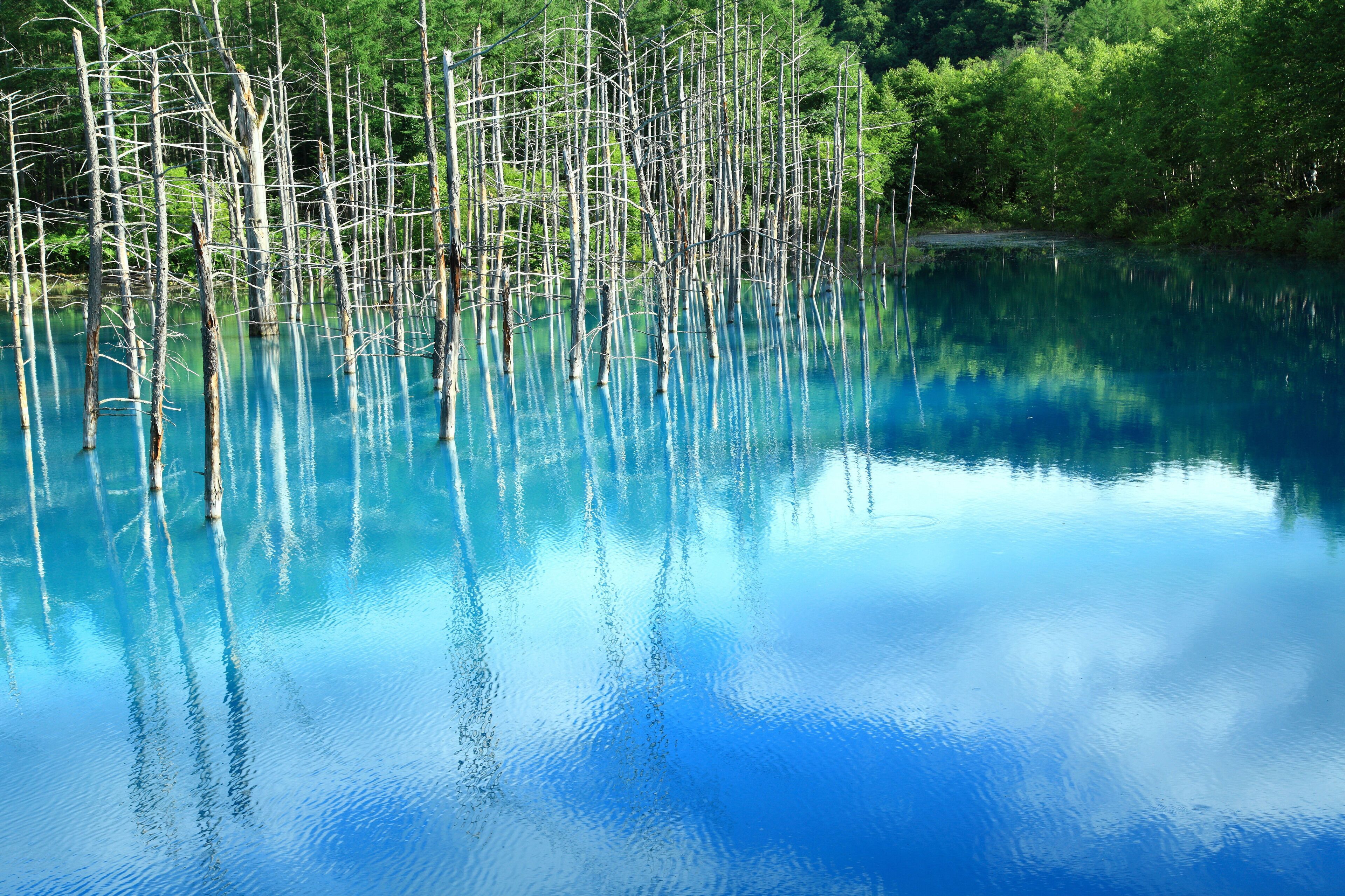3840x2559 Blue Pond ｜Expedia.co.jp