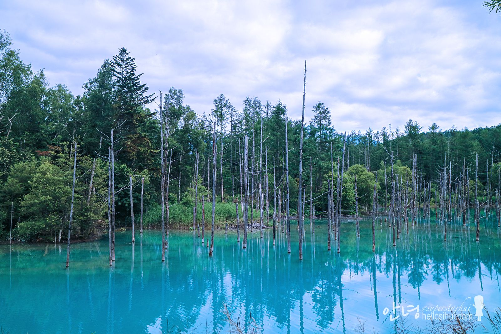 1600x1067 SUMMER HOKKAIDO 2018