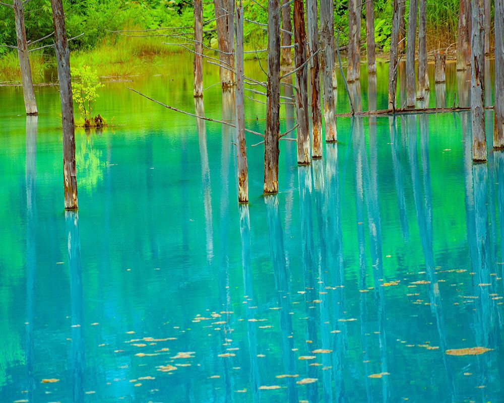 1000x800 Blue Pond
