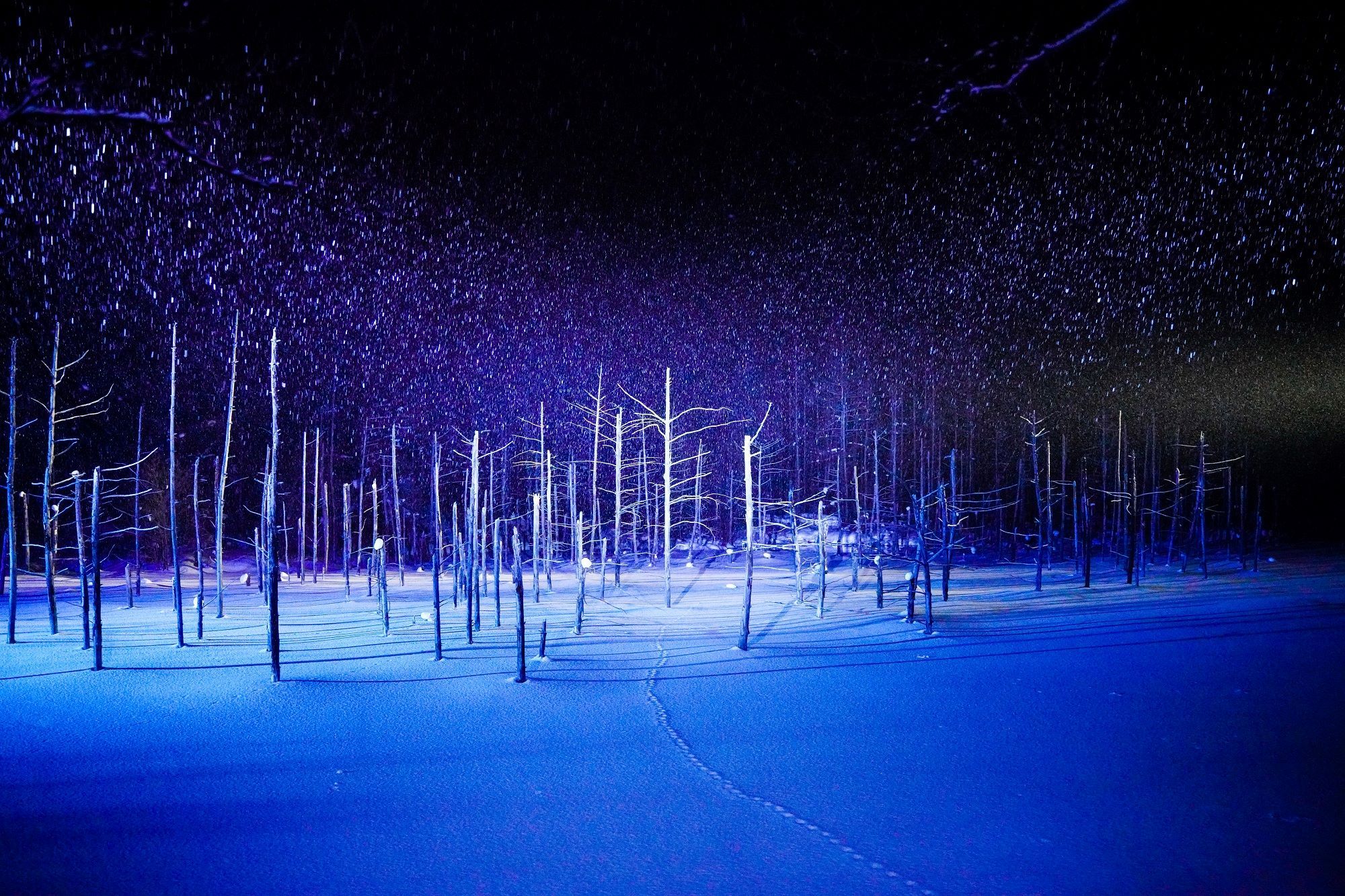 2000x1333 Shirogane Blue Pond - 【Official】Heart of Hokkaido Tourism Guide