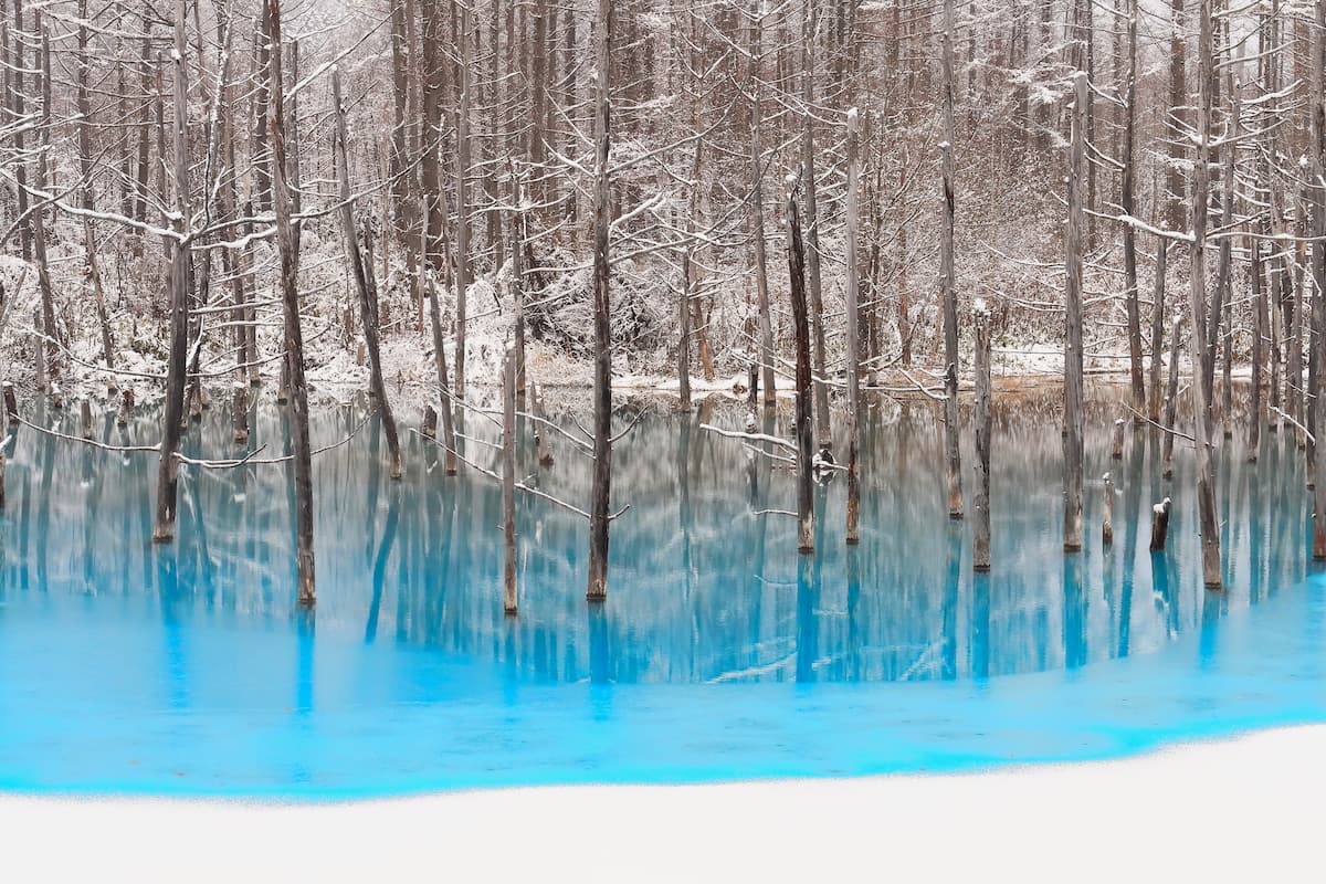 1200x800 Blue Pond (Aoiike) [Biei, Hokkaido]｜Lokehan Japan