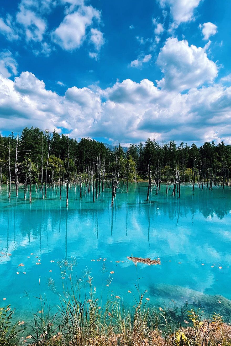 880x1320 Blue Pond
