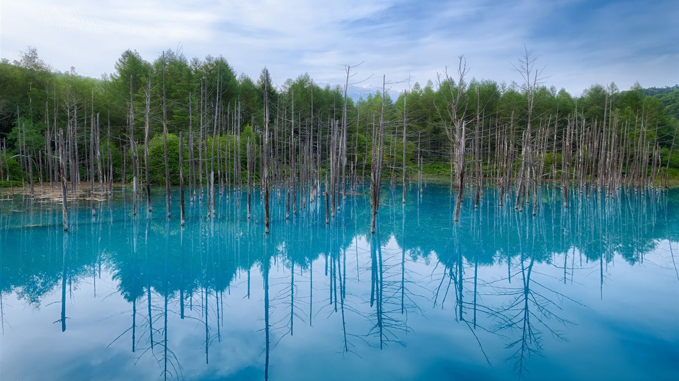1366x768 Japan Hokkaido, Blue Pond, Water Reflection, Trees, Blue Sky 640x1136 IPhone 5 5S 5C SE Wallpaper, Background, Picture, Image