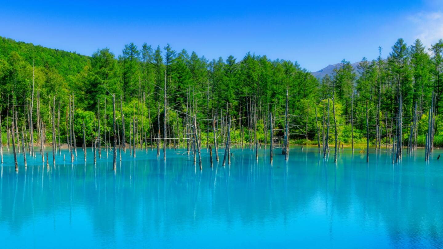 1440x810 The splendour of Hokkaido; a summertime voyage