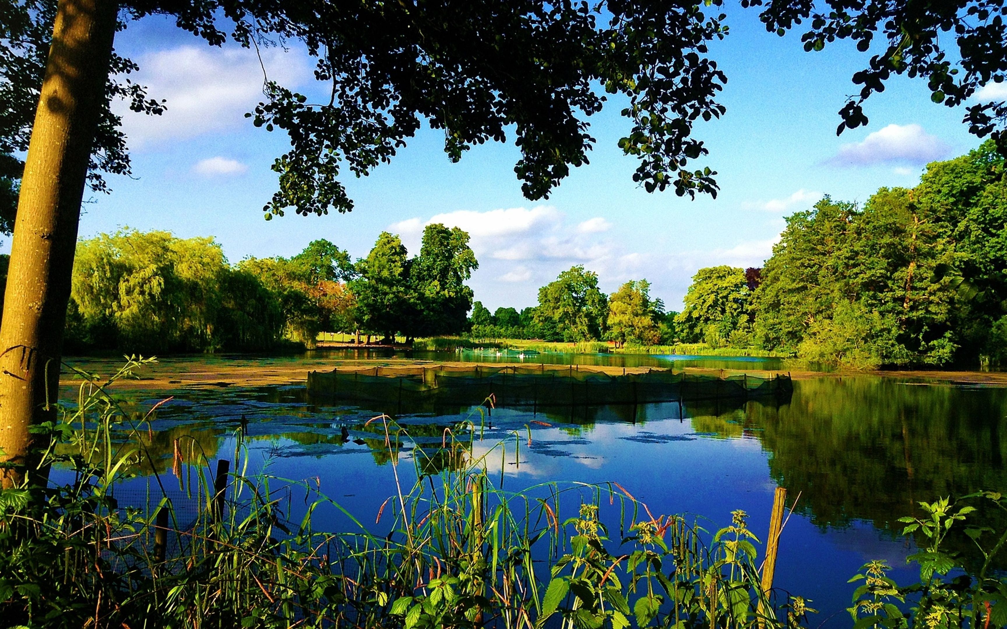 3456x2160 Wallpaper Green Trees Beside River Under Blue Sky During Daytime, Background Free Image